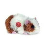 Image de Peluche Cobaye 18 cm