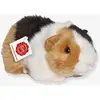 Image de Peluche cochon d'Inde 20 cm tricolore Teddy Hermann multicolore TU