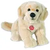 Image de Golden Retriever, Ca. 30 Cm