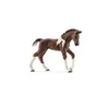 Image de Schleich World of Nature: Farm Life - Faon Trakehner