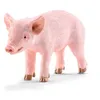 Image de Farm World Cochonnet Debout