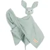 Image de Roba Doudou Lapin Bio Lil Planet - Roba - 40 X 40 Cm - Vert