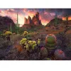 Image de Puzzle 500 pièces : Cactus et épines