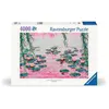Image de 4000 p Les nénuphars roses