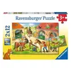 Image de Puzzle 2x12 pièces Ravensburger - Chevaux