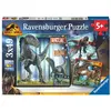 Image de Puzzles T-rex et autres dinosaures 3x49 pieces