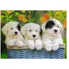 Image de Puzzle Ravensburger - Chiots câlins, 200 pièces XXL