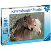 Image de Puzzle 150 pièces XXL Ravensburger Magnifiques chevaux