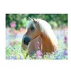 Image de Puzzle 300 pièces Ravensburger - Cheval sur champ de fleurs