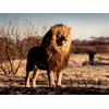 Image de Puzzle 1500 pièces Ravensburger Lion
