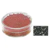 Image de Rocailles 2mm avec garniture argent - Brun foncé