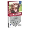 Image de ADVANTIX 4 pipettes antiparasitaires - Pour grand chien de plus de 25kg