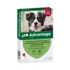 Image de Advantage® 250 pour chien de 10 à 25 kg - 4 pipettes