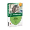 Image de Advantage® 40 pour chat et lapin