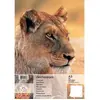 Image de Herlitz - 1x bloc de dessin, format a3, 100 g m2, 25 feuilles 10416634