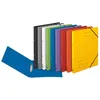 Image de Herlitz Herlitz Classeur À Anneaux Easyorga, A4, Colorspan-Carton