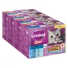 Image de Whiskas Duo 48 x 85 g - Les délices de l'océan en gelée