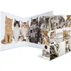 Image de HERMA Classeur à levier à motifs 'Animals', A4, chats
