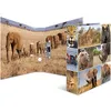 Image de HERMA Classeur à levier 'Animals', A4, animaux d'Afrique