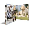 Image de HERMA Classeur à anneaux 'chiens', A4, mécanisme à 4 anneaux