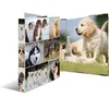 Image de HERMA Classeur à anneaux 'Animals' - chiens, A4, mécanisme à