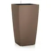Image de Cubico Color 30 - kit complet, muscade 4 L 56 cm