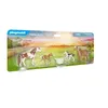 Image de Playmobil 71000 - 2 poneys et poulains