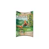 Image de Playmobil Playmobil Wiltopia 71065 - Écureuils