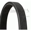 Image de Contitech Contitech Courroie D'accessoire 6dpk1195