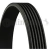 Image de Contitech Courroie Striee 6pk1548
