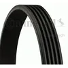 Image de Contitech Courroie D'accessoire 5pk880