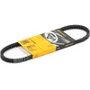 Image de Contitech Courroie TrapÃ©zoÃ¯dale Vw,Renault,Fiat Avx10x650 117022383400,60523210,456918  95496894,71739908,7611334,7776570,7776570,007753009537,400922