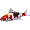 Image de Coussin de jeu Aumüller Carpe Koï pour chat - 1 coussin
