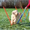 Image de Trixie Dog Activity Slalom Agility Jeu Chien