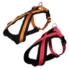 Image de Premium Harnais, XsÂ¿S: 30Â¿40 Cm/15 Mm, Noir - 20361