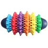 Image de Jouet Pour Chien Rubber Grand ModÃ¨le