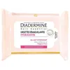 Image de 25lingettes DÃ©maquillantes Hydra -X1