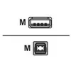 Image de Equip câble USB - 5 m