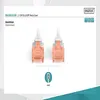 Image de DIGITUS Professional cordon de raccordement - 10 m - gris