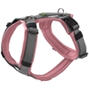 Image de HUNTER Harnais Maldon vieux rose/gris taille M : 53 - 71 cm tour de poitrine, B 25 mm chien