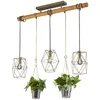 Image de Suspension Plant, 3 Lampes Avec Verres DÃ©coratifs