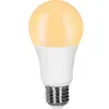 Image de Ampoule Ã Led (Simple) E27 MÃ¼ller-Licht Tint 404001 9 W