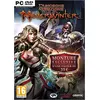 Image de Donjons et Dragons Neverwinter PC