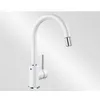Image de MITIGEUR DOUCHETTE Blanco MIDA-S blanc