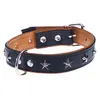 Image de Collier en cuir Heim Stars, noir taille 50 tour de cou 38-46 cm - pour chien