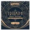 Image de Warwick 44210 - Triumph Bass Low B .049-.128 Jeu Cordes Contrebasse