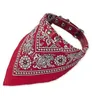 Image de Nobby Collier Avec Bandana Pour Chien