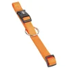Image de Collier Pour Chien Nobby Pet Classic
