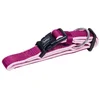Image de Collier Pour Chien Nobby Pet Classic Preno