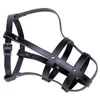 Image de MuseliÃ¨re Pour Chien En Cuir Nobby Pet